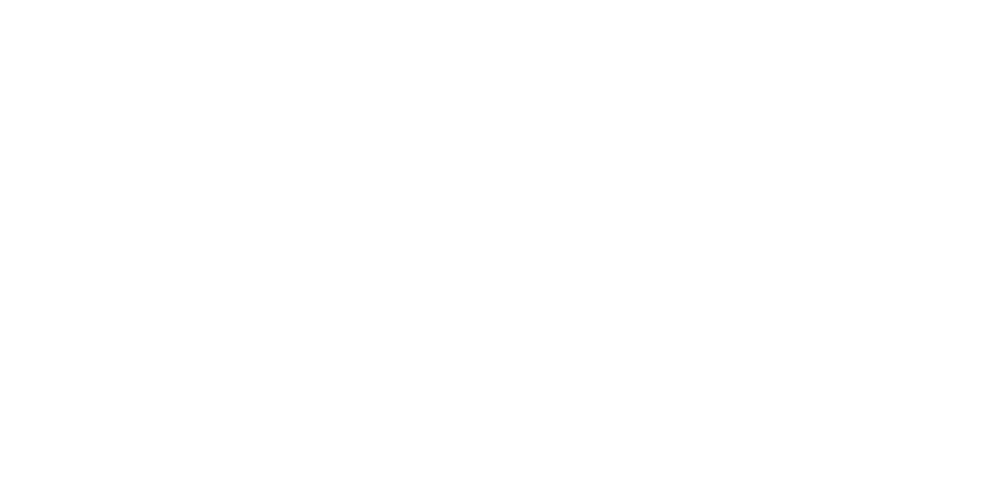 TECH Recinto Fiscalizado Estratégico